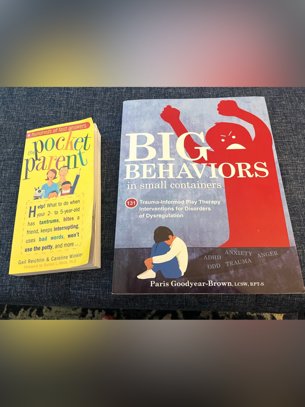 Big Behaviors in Small Containers - Red & Blue Book